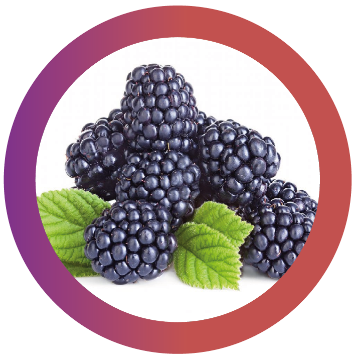Blackberry