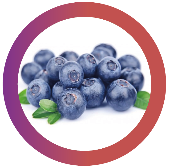 Blueberry