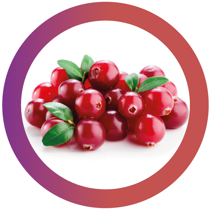 Cranberry
