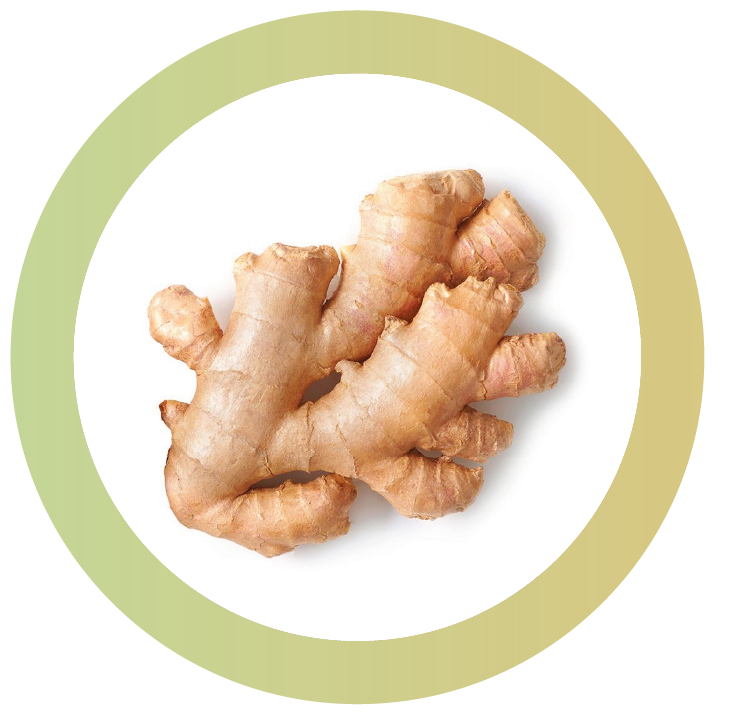 Ginger
